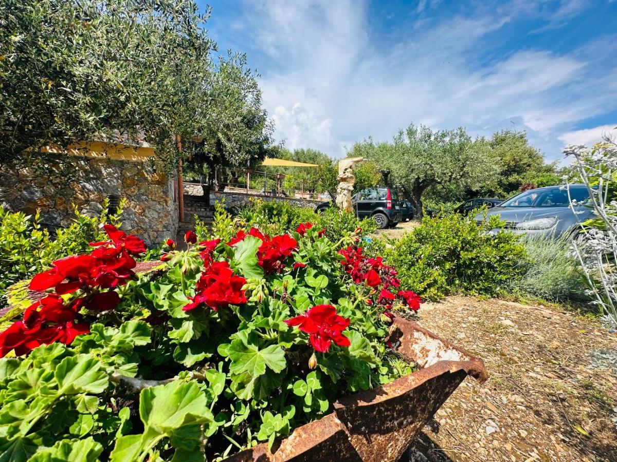 Villetta Starza Marina di Camerota Dış mekan fotoğraf