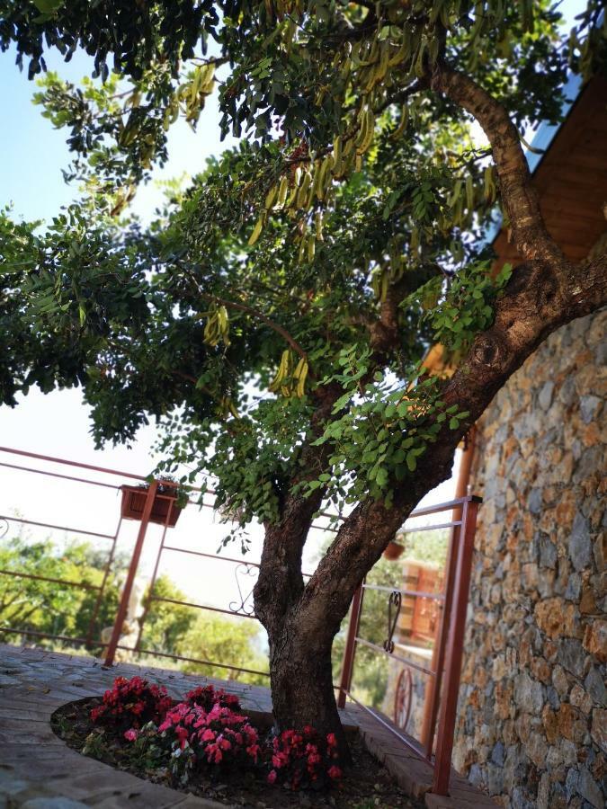 Villetta Starza Marina di Camerota Dış mekan fotoğraf